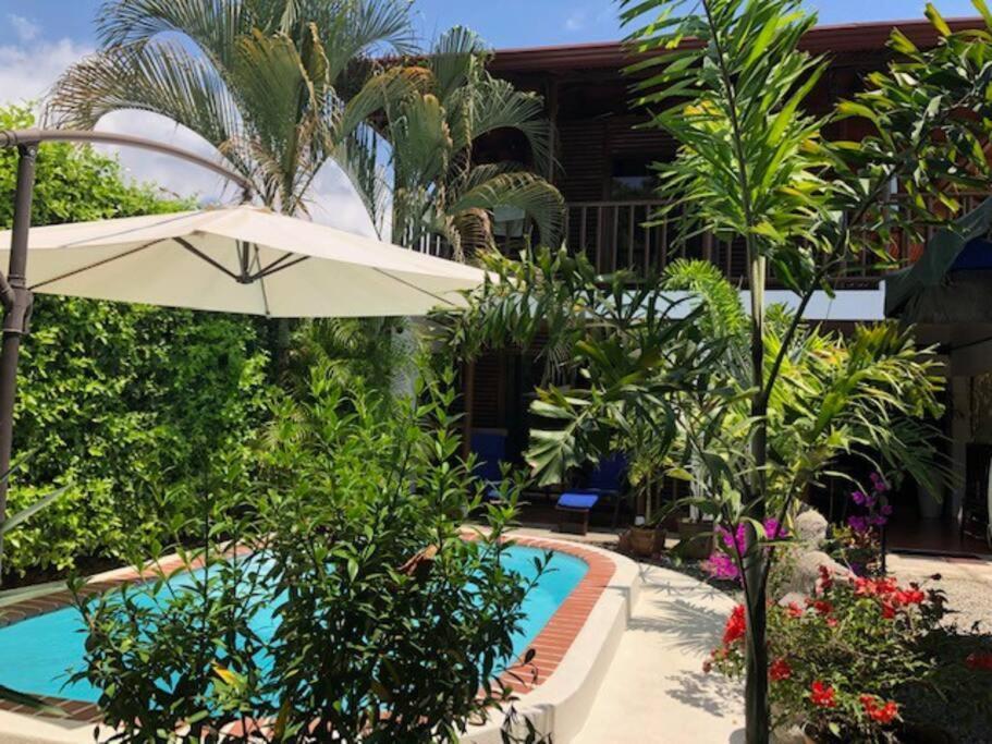Casa Toucan Mit Privat Pool Near Np Ballena أوفيتا المظهر الخارجي الصورة