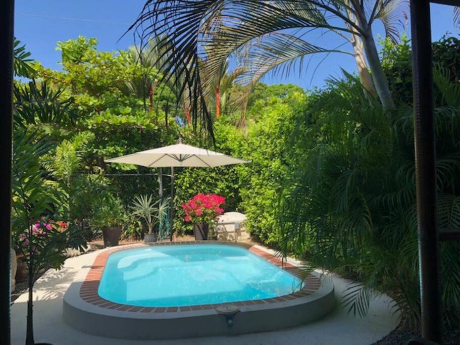 Casa Toucan Mit Privat Pool Near Np Ballena أوفيتا المظهر الخارجي الصورة