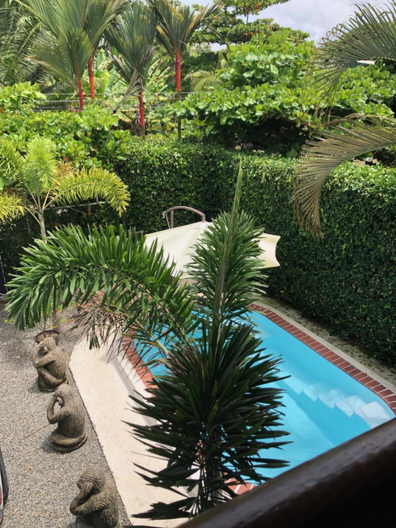 Casa Toucan Mit Privat Pool Near Np Ballena أوفيتا المظهر الخارجي الصورة