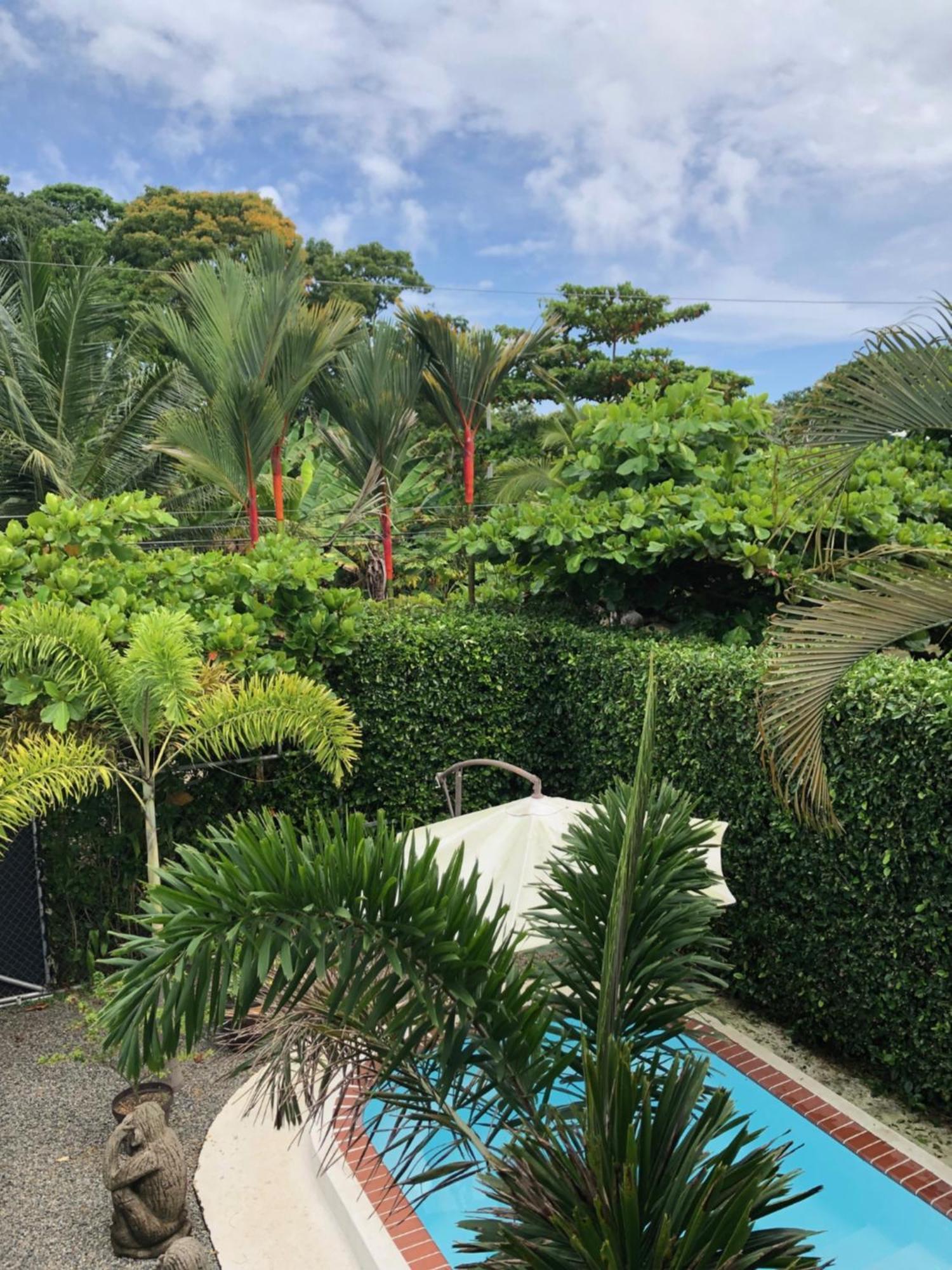Casa Toucan Mit Privat Pool Near Np Ballena أوفيتا المظهر الخارجي الصورة